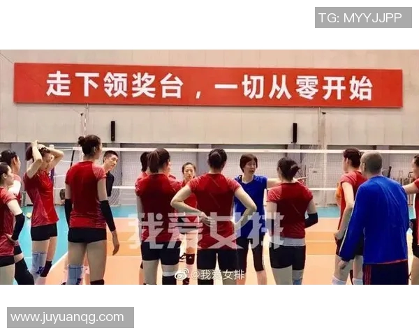 从零开始打造完美排球团队协作技巧与实战指南