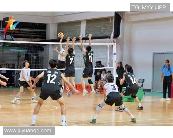 重庆排球队的默契配合揭秘排球巨献带你领略团队精神与技术的完美结合 重庆排球队的默契配合揭秘排球巨献带你领略团队精神与技术的完美结合